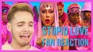 LADY GAGA quotSTUPID LOVEquot REACTION [upl. by Sherry]