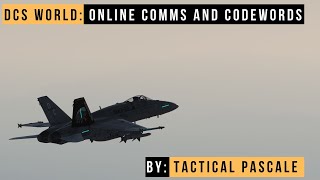 DCS WORLD  Online Comms and Codewords from a retired GCI [upl. by Mloclam]