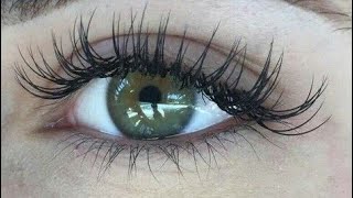 lash falsies [upl. by Anihsat877]