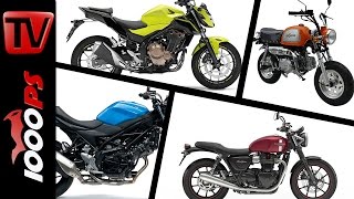 10 Motorräder mit niedriger Sitzhöhe 2016 [upl. by Emina]