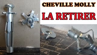 retirer une cheville molly proprement how to remove hollow wall anchors properly [upl. by Dinin]