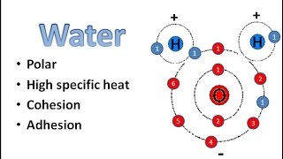 Water Chemistry [upl. by Virgilia]