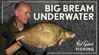 Bream Fishing  Underwater Secrets [upl. by Homovec]