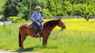 ROBERT DUVALL in quot BROKEN TRAIL quot [upl. by Locklin]