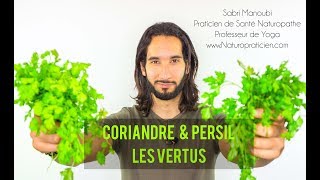 Coriandre amp Persil  LES VERTUS NATUROPATHIQUE [upl. by Aisanat]