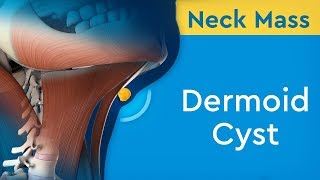 Cervical Nerve Anatomy Animation [upl. by Kempe]