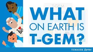 What Is TGEM [upl. by Olegnaed]