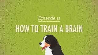 How to Train a Brain Crash Course Psychology 11 [upl. by Valeria974]