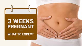 3 Weeks Pregnant What to Expect [upl. by Bay]