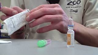 How to Prepare Epinephrine 11000 [upl. by Nelluc]