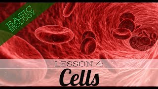 Basic Biology Lesson 4 Cells GCSE Science [upl. by Besse]