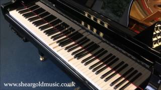 Yamaha Disklavier  Self Playing Baby Grand Piano [upl. by Torey]