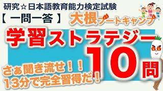 【一問一答・学習ストラテジー】日本語教育能力検定試験まとめ [upl. by Semaj]