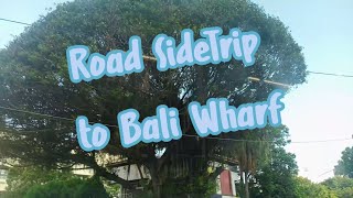 Road SideTrip to Bali Wharf wharf taiwan busride [upl. by Akinej]