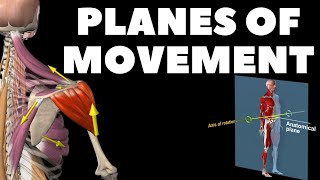 Planes of movement [upl. by Nahgen]