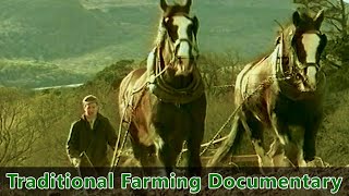 Traditional Farming Documentary  Farm life in Ireland during the 1930s  quotPreserving the Pastquot [upl. by Tallbott897]