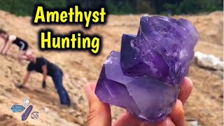 Finding Large Amethyst Crystals Digging Jackson’s Crossroads  Public Mine  JXR [upl. by Yrocaj]