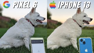 Google Pixel 6 vs iPhone 13 Camera Comparison [upl. by Whetstone]