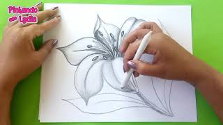 Dibujos A Lápiz Como Dibujar Una Flor  How To Draw A Flower [upl. by Milicent]