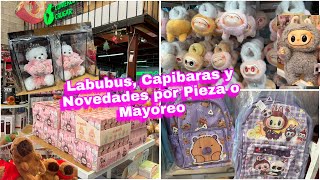 😍 Labubus Capibaras y Novedades en Comercializadora Crugar CDMX 🐰 [upl. by Ocimad]