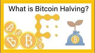 What is the Bitcoin Halving  CoinDesk Explains [upl. by Iruyas]