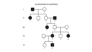 La généalogie en génétique [upl. by Stalker]