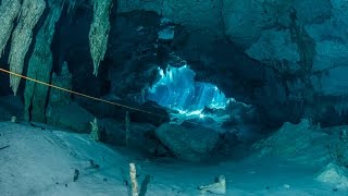 Cenote diving Dos Ojos Mexico [upl. by Fish]