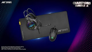 Ant Esports Champions Bundle X  The Complete Combo [upl. by Moriah]