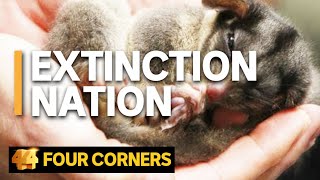 The fight to save Australias endangered species  Four Corners [upl. by Selwin]