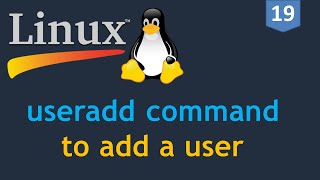 19  Linux for DevOps  Creating a User  useradd command  How to add a user on Linux [upl. by Noman]