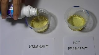 Home Pregnancy Test with Bleach Positive [upl. by Dublin]