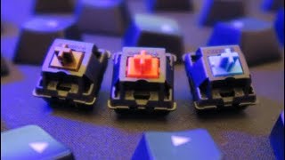 Mechanical Switch Comparison Sound Only [upl. by Adnama452]