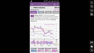 MarketSmith India  Details Tab [upl. by Spark]