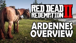 Ardennes Overview  Red Dead Redemption 2 Horses [upl. by Lehacim864]