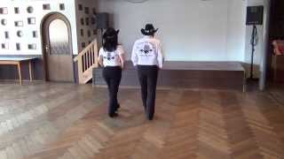 Country 2 Step Line Dance Teach amp Dance [upl. by Zenas]