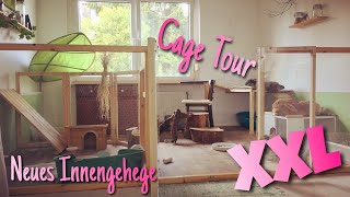 Neues XXL Innengehege für Kaninchen  Cage Tour [upl. by Ycaj490]