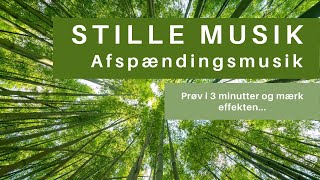 Afspændingsmusik  Meditationsmusik  Stille Musik [upl. by Iclehc]