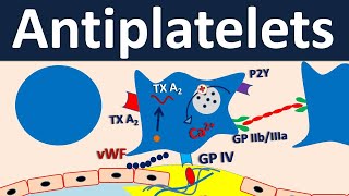 Antiplatelets  Pharmacology in easy way [upl. by Haerdna]