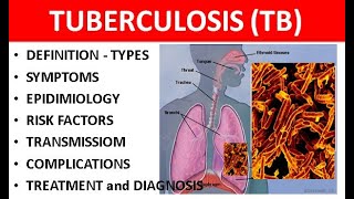 Tuberculosis TB Explained Causes Types Symptoms Diagnosis amp Treatment [upl. by Jenks]