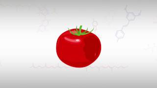 Lycopene  What You Need to Know in About 1 Minute [upl. by Corrina]