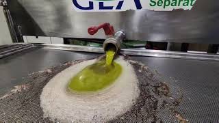 How Olive Oil is Made  Traditional Greek Extra Virgin Olive Oil Extraction Cold Press  Kalamata [upl. by Ott]