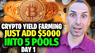 Just Started Yield Farming From DAY 1  Solana  Pendle  ETH  PopCAT  WIF  Crypto Phil [upl. by Beatrice]