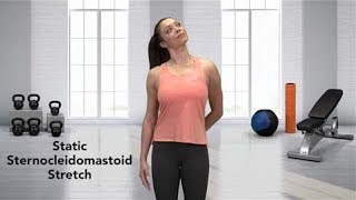 How to do a Sternocleidomastoid Stretch [upl. by Aicats]