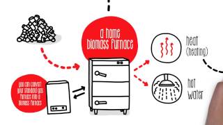 How does biomass work  Sustainability [upl. by Eirrek]