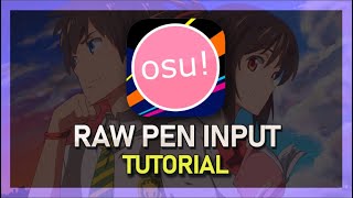 OSU  How To Enable Raw Mouse amp Pen Input [upl. by Lepley629]