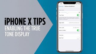 iPhone X Tips  Enabling the True Tone Display [upl. by Tuesday]