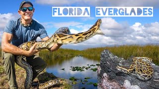 Catching Invasive Pythons in the Florida Everglades [upl. by Lunt]