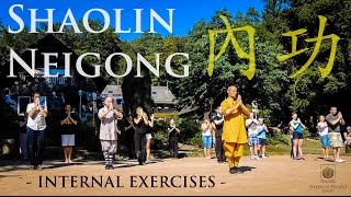 Shaolin Neigong 內功 · Internal exercises [upl. by Bandeen290]