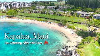 Kapalua MAUI  ReOpening after the FIRES [upl. by Hayne]