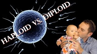 Haploid vs Diploid  James Dundon [upl. by Shepard]